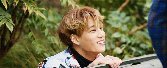 Adorable kitty.gif