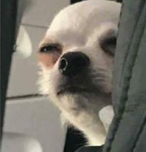 11711