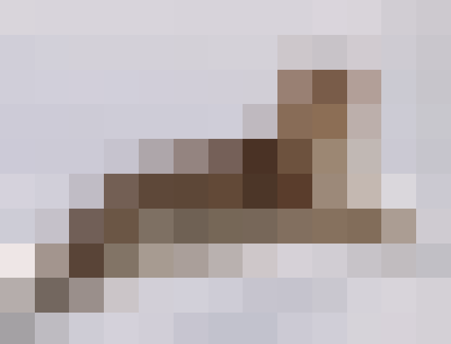 AmurPixel.png