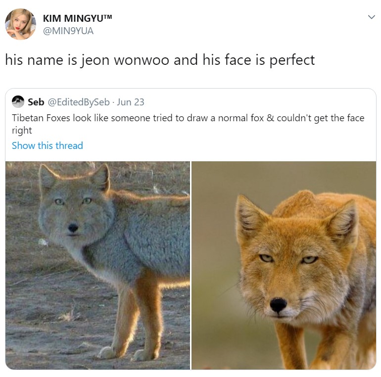 32427