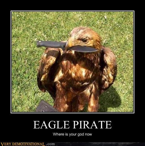 anthropomorphization-bird-eagle-falcon-knife-pirate-wtf-4200263680.jpeg
