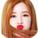 Apink - Badge Chorong (Red & White Concert Poster) 01.png