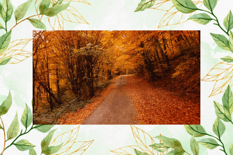 Autumn Background LED 01.gif