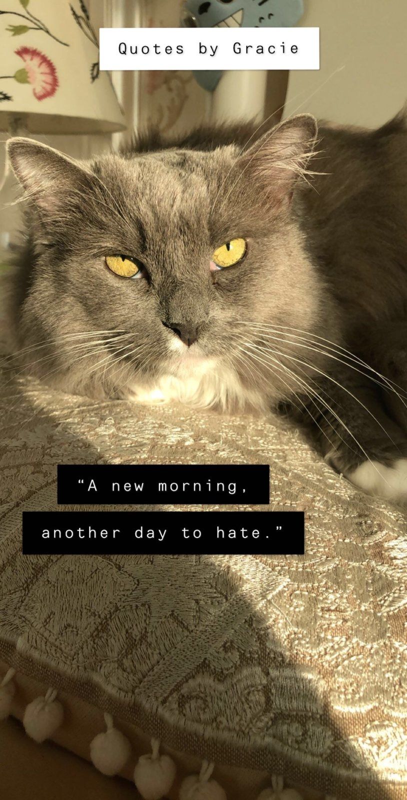 13220