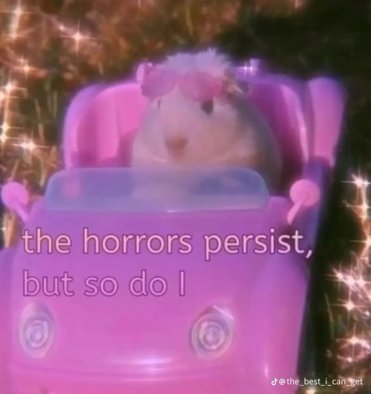 B2AF47ED-107F-42E5-B8BA-3C6FE9D6197D.jpeg