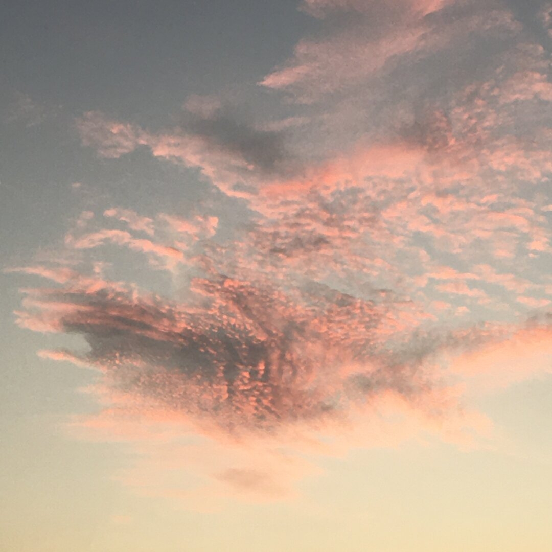 B60CFFD9-6262-4592-A239-0AA317F499FD.jpeg