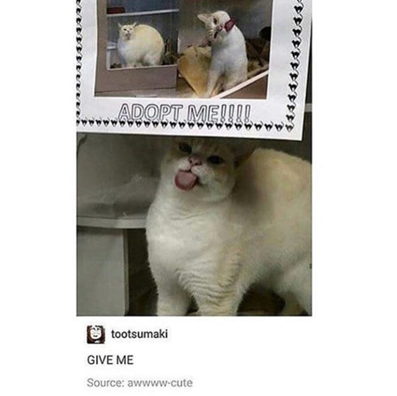 B693A75D-6CF3-40D7-B0AB-9AD747B93FFA.jpeg