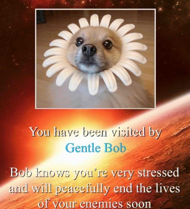 BAB4A3E3-4C1B-493D-BC2F-5BE4462C7AF0.jpeg