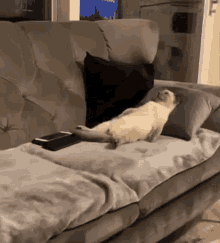 BACFFBD7-E606-44BD-A99C-F7CB9909495B.gif