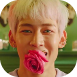 bam1.png
