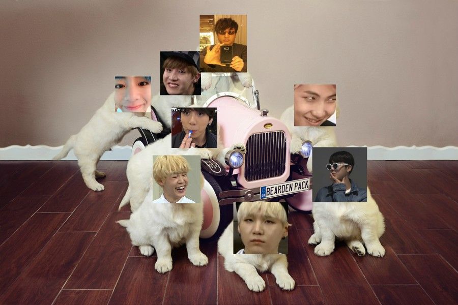 barktan.jpg