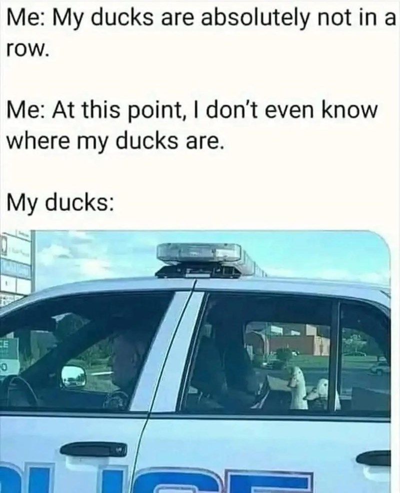 BCCFFB78-EE30-4220-B628-DA1F0CC3CD47.jpeg