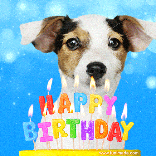 bday-842.gif