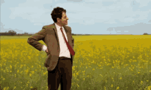 bean-mr.gif