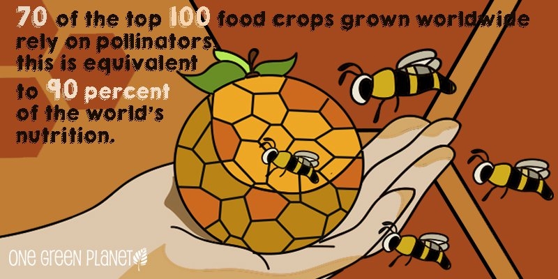 bees.jpg