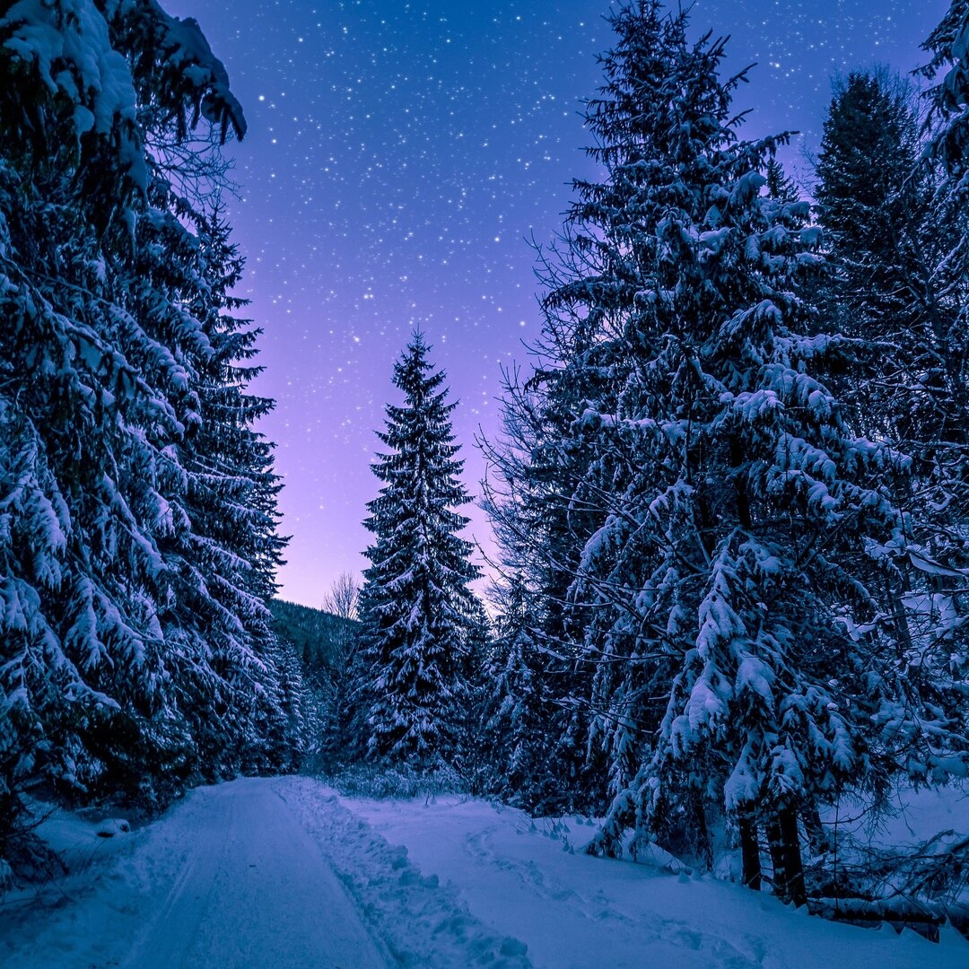 Best-Winter-Photos.jpg