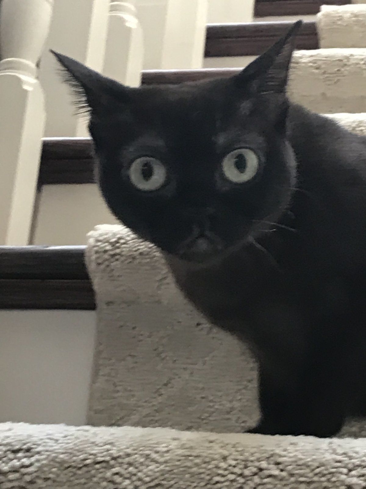 12829