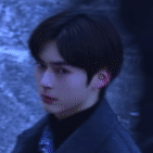 bin1.gif