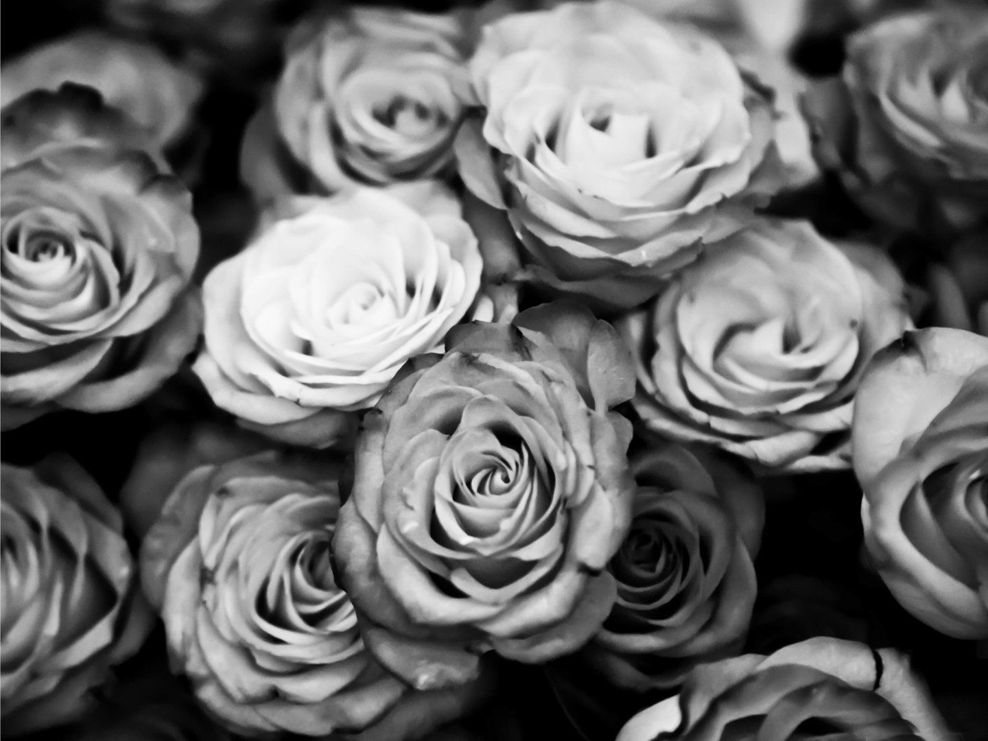 black-and-white-image-18.jpg