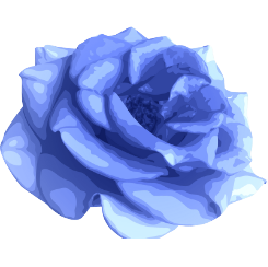 Blue Roses.png