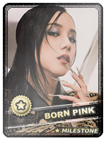 Born pink 1.png