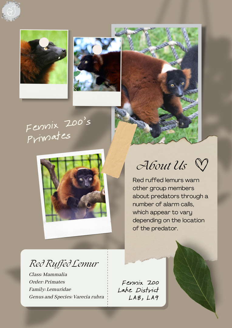 Brown Green Minimalist Aesthetic Scrapbook All About Me Poster.png