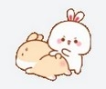 bunnies.jpg