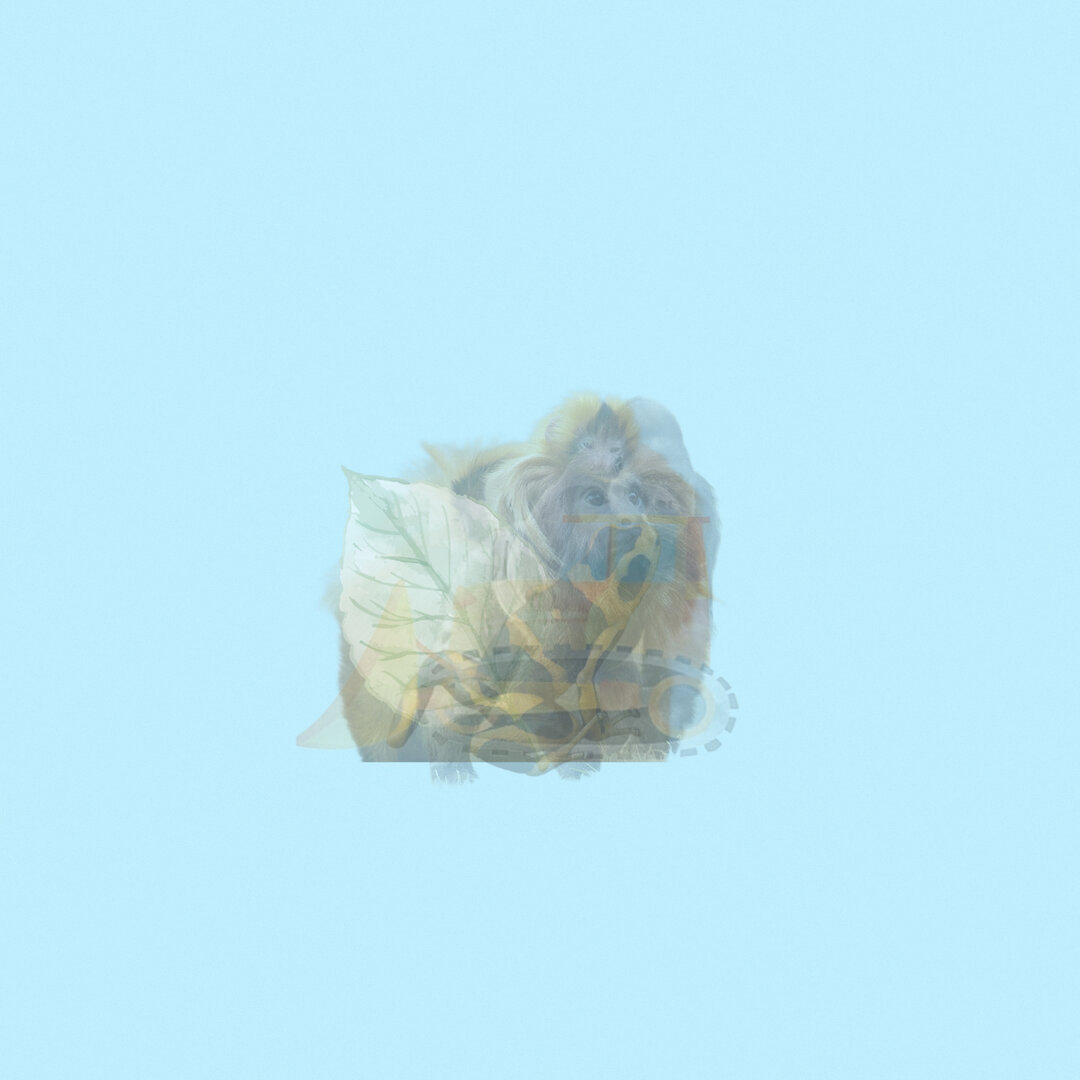 C2F96A55-D6AE-4110-AA1D-187D24061609.jpeg