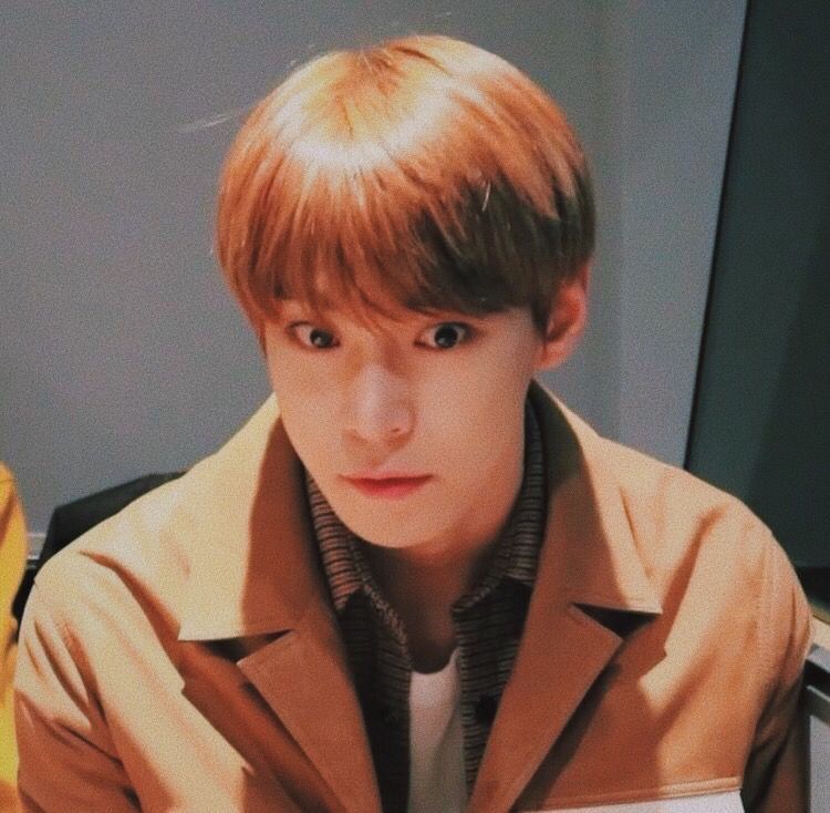 16082