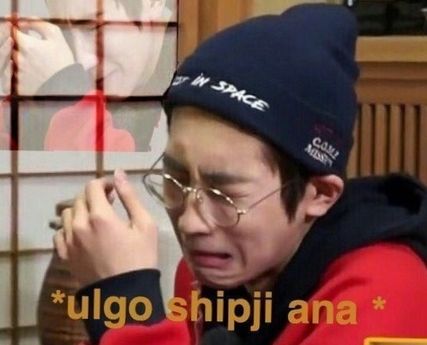 20513
