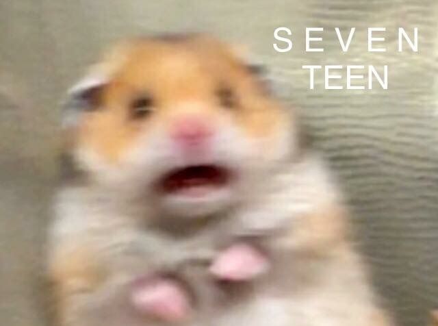 11827