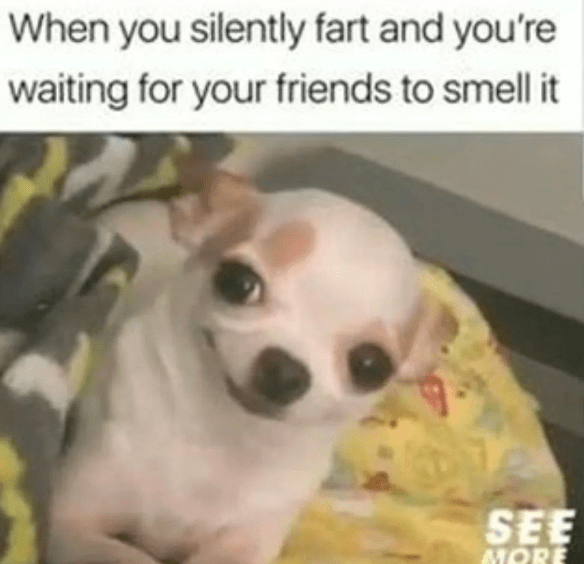 CA70FE42-CA8B-42B1-B12F-4ABEA94C443A.png