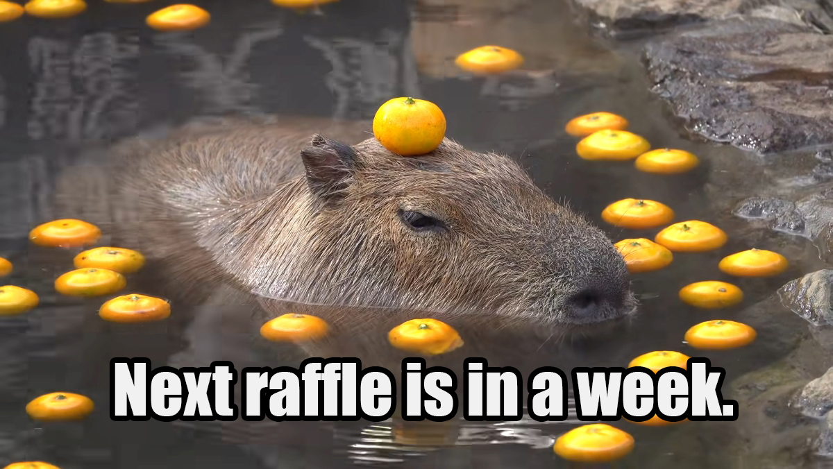 capybara-onsen.jpg