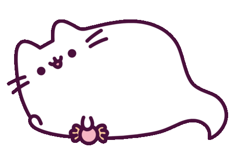 cat-2.gif