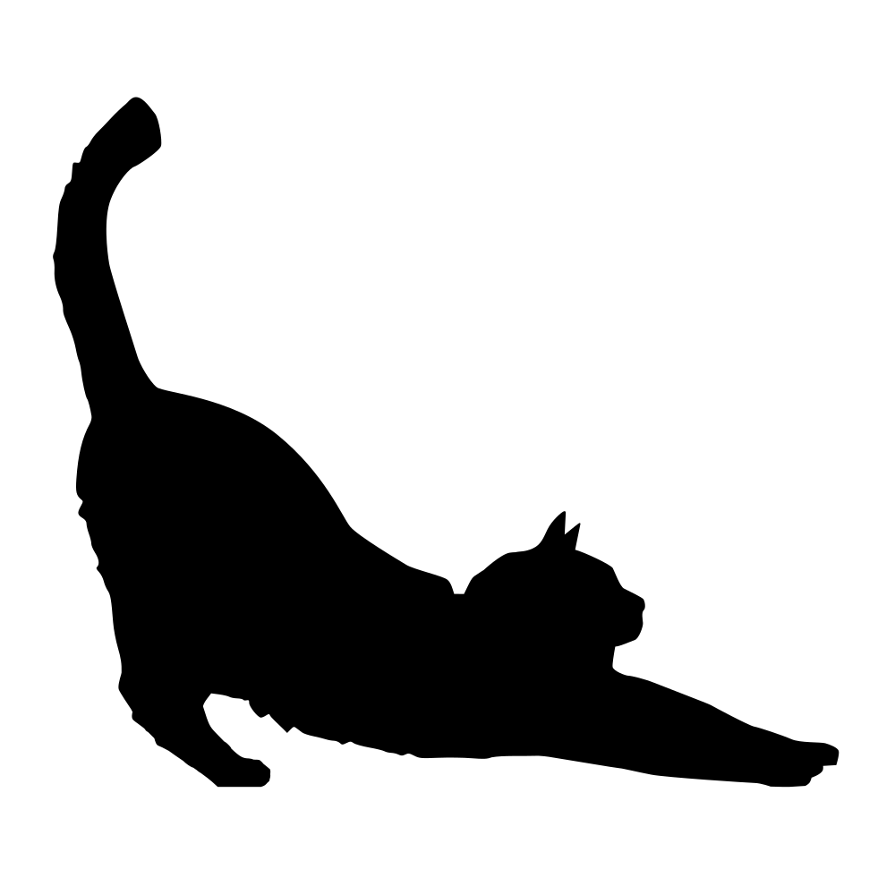 cat 3.png