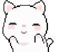 Cat dance.gif