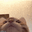 Cat.gif