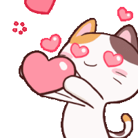 cat-love.gif