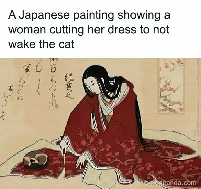 cat-memes-catsweek-5-65d5cea9913c7__700.jpg