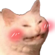 catblush.png