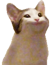 catcam-talking-steam.gif