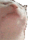 catjam.gif