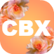 cbx6.png