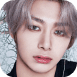 chae-hyung-won-102115401154243163.png