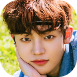 Chan04.png