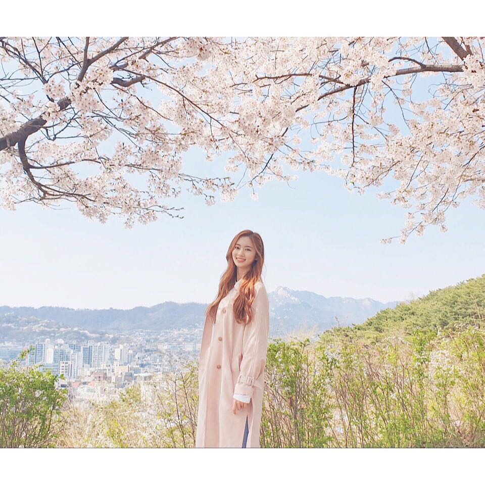 cherrybullet_1___BwRokPsn4QG___.jpg