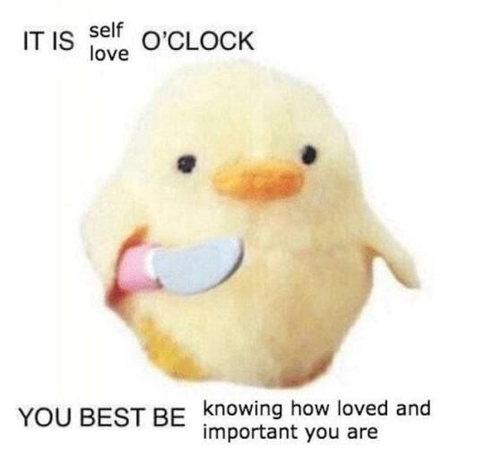 chick.png