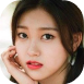 choer.png
