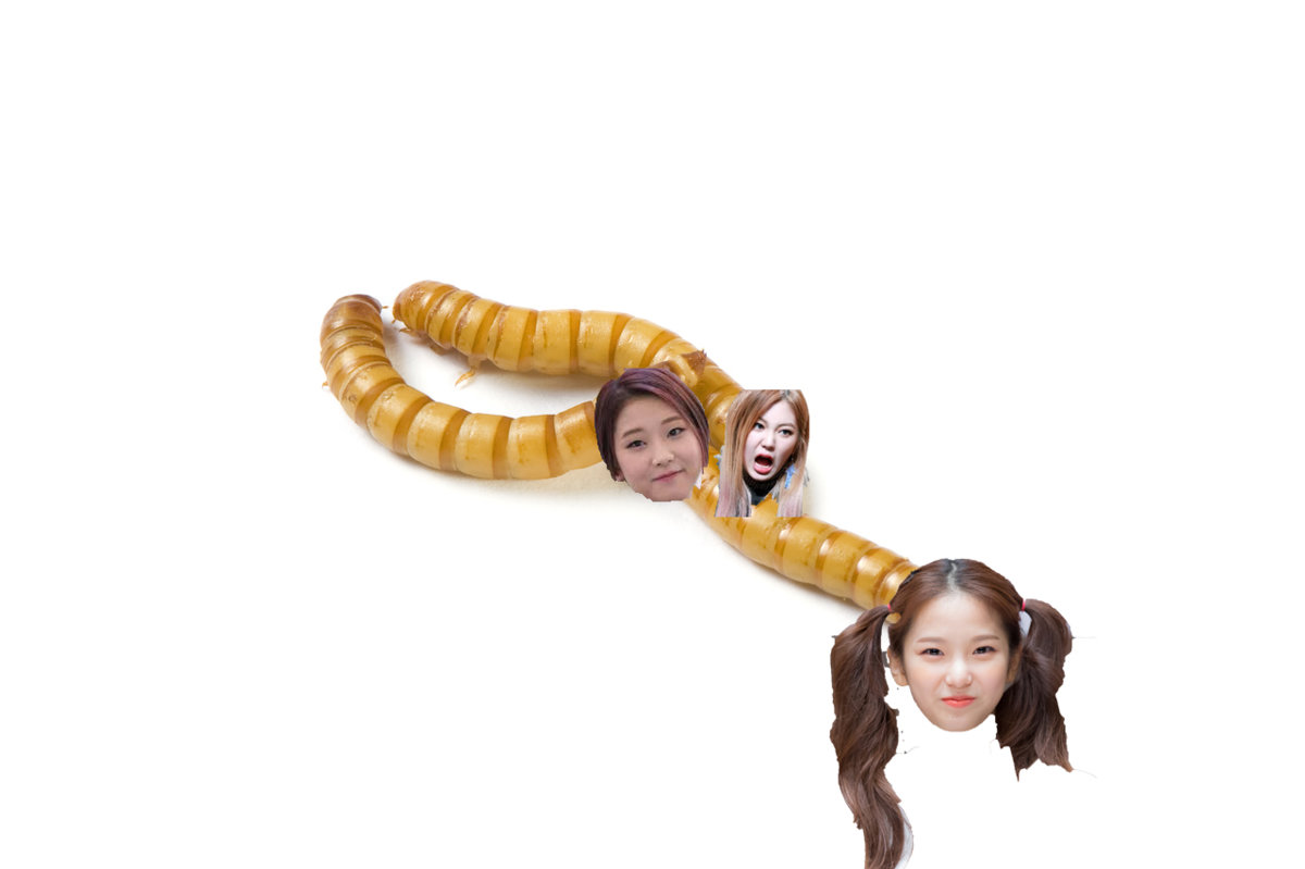 clc as mealwormsssssssss.jpg