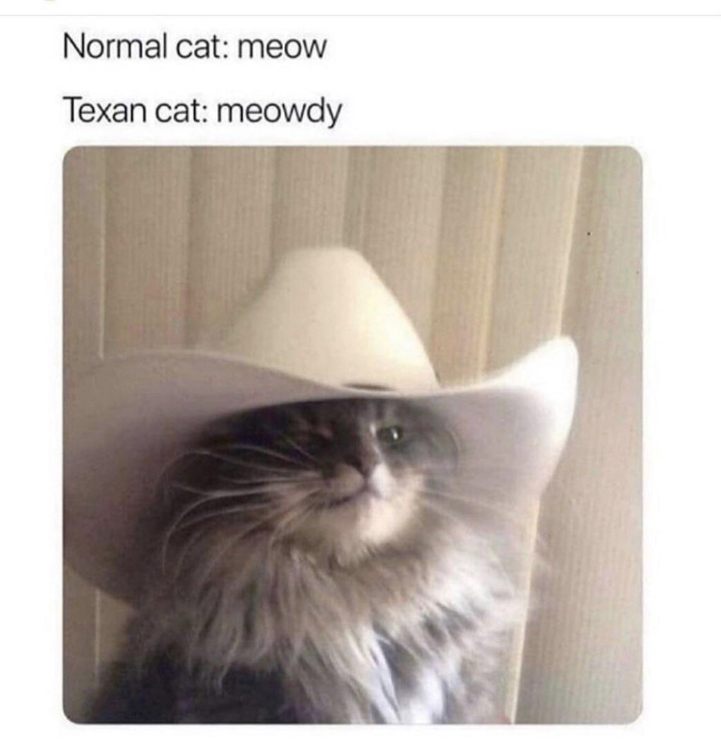 cowbyo.jpg